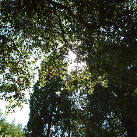 ησυχία - φύση