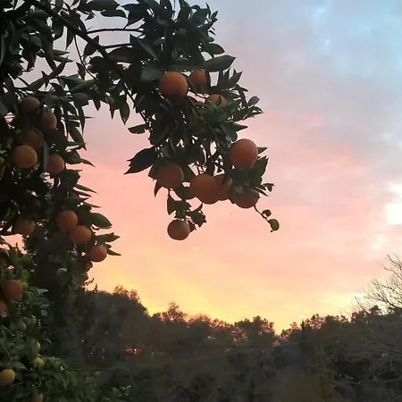 Vakantiehuis ησυχία - φύση Kastanéa