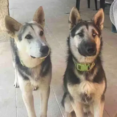 ησυχία - φύση Kastanéa