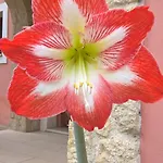 Сasa de vacaciones ησυχία - φύση *