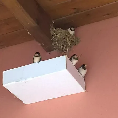 ησυχία - φύση * Kastania (Corfu)