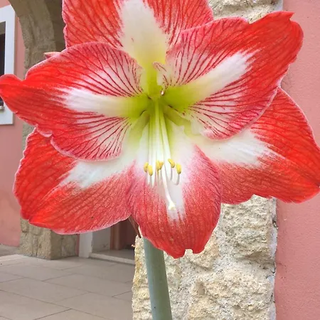 Ferienhaus ησυχία - φύση *